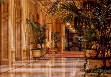 Luxury Hotels
