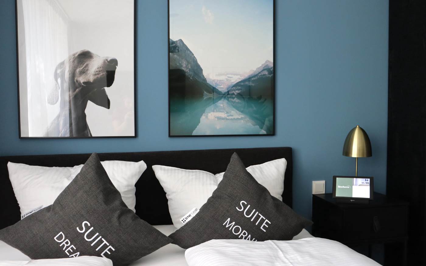 Lime home background with dog