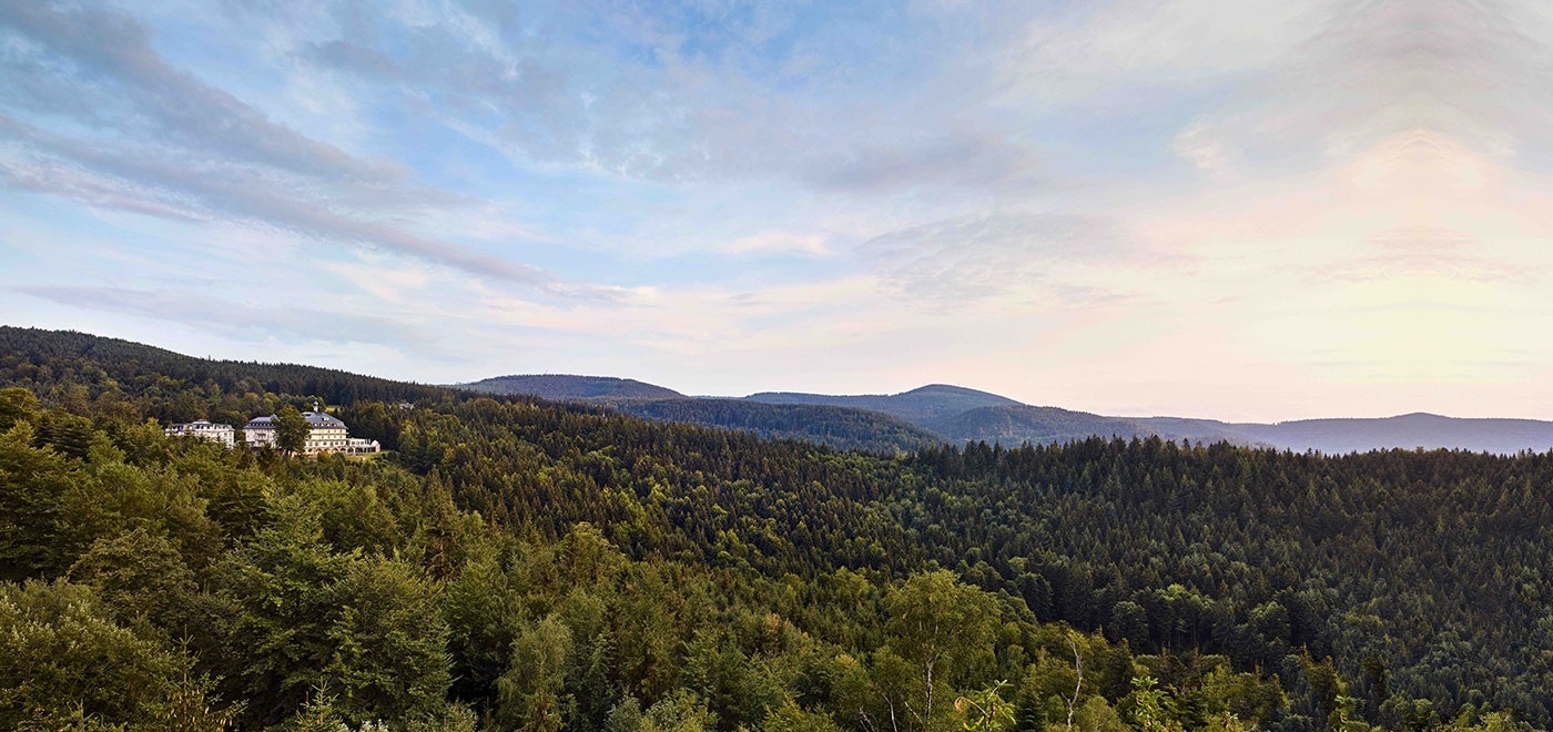 Die Max Grundig Privatklinik in einer Waldlandschaft